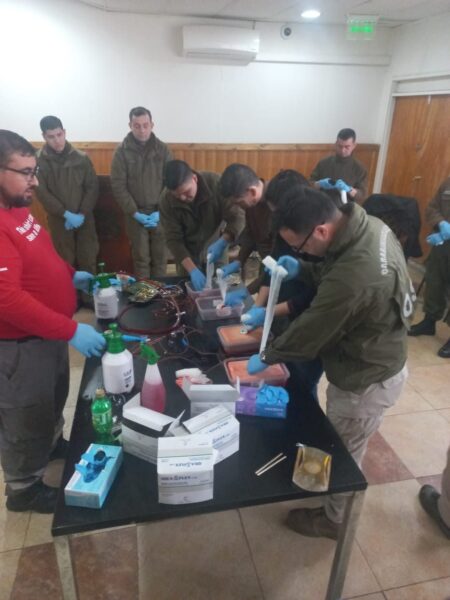 Taller de control de hemorragias: varias personas practican vendajes y empaquetado con simuladores de herida